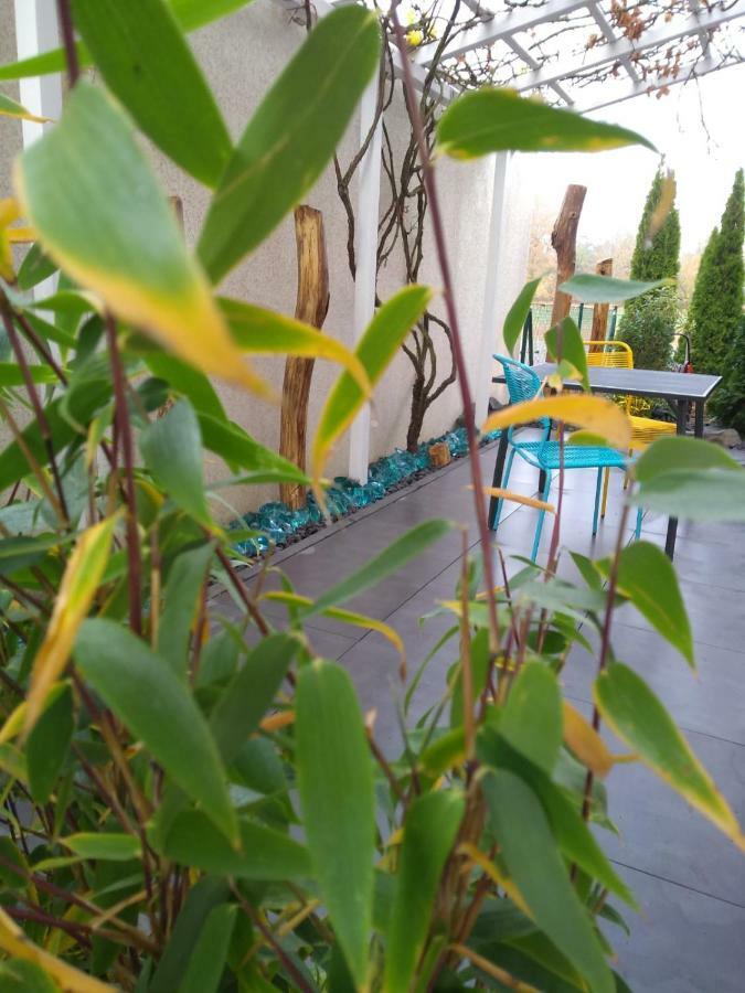 Art & Nature Apartments In Der Naehe Ffm-Messe Bad Vilbel Ngoại thất bức ảnh