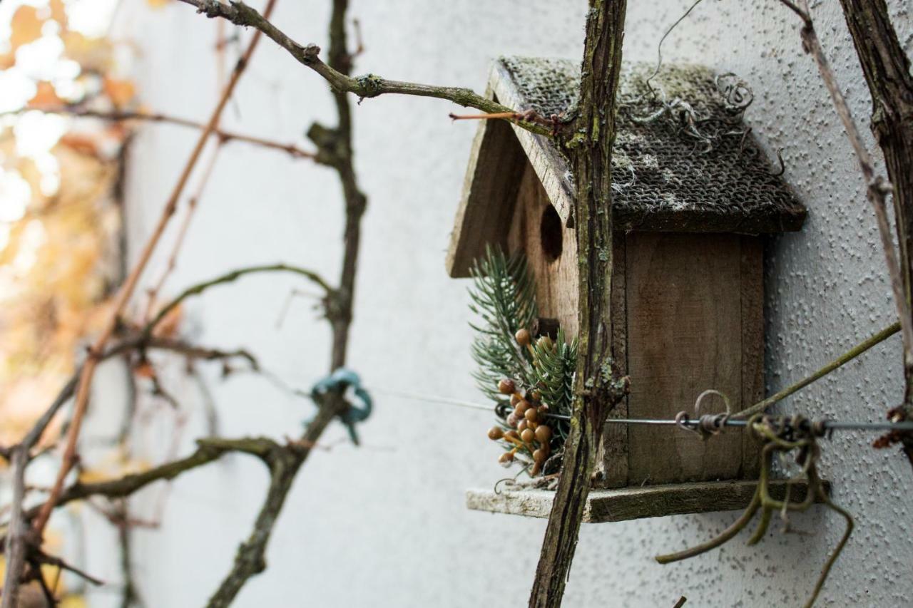 Art & Nature Apartments In Der Naehe Ffm-Messe Bad Vilbel Ngoại thất bức ảnh